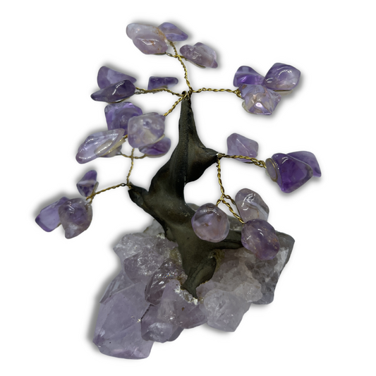 Amethyst Bonsai Tree