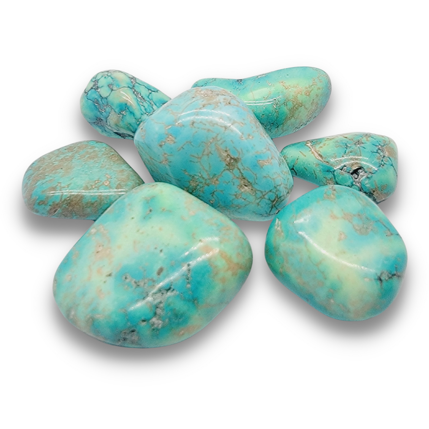 Turquoise Howlite Tumbled