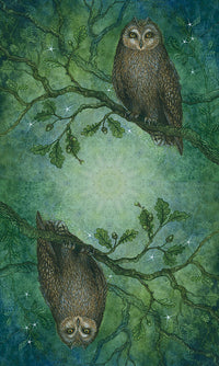 image depicting two owls on tree branches.
