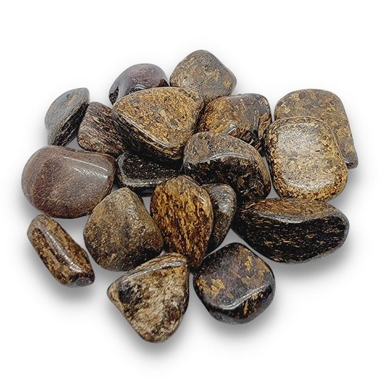 Bronzite Tumbled (2pack)