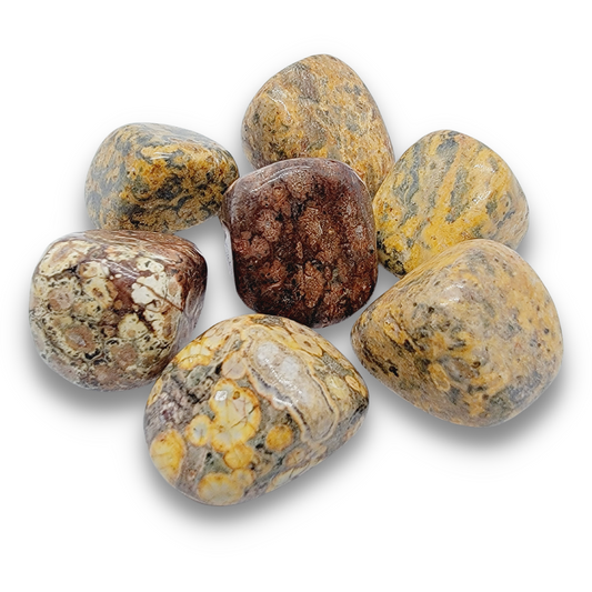 Leopard Skin Jasper Tumbled