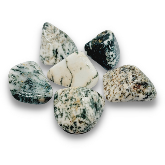 Tree Agate Tumbled