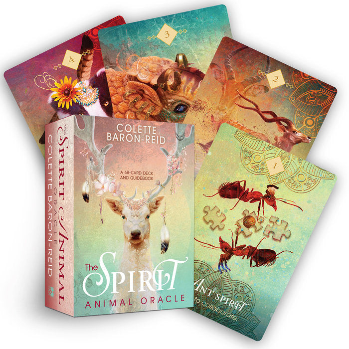 box labeled "spirit animal oracle." cards depict various animals, such as ants, kudu, and armadillo
